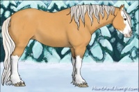 Horse Color:Silver Buckskin Roan Sabino Splash