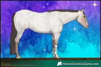 Horse Color:Classic Champagne Roan Dun