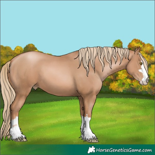 Horse Color:Chestnut Pearl 