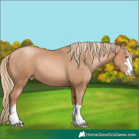 Horse Color:Chestnut Pearl 
