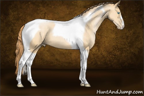 Horse Color:Buckskin Pearl Tobiano 