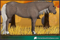 Horse Color:Silver Black 
