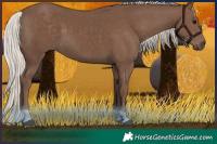 Horse Color:Silver Black 