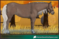 Horse Color:Silver Black 