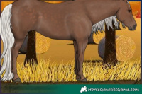 Horse Color:Silver Black 