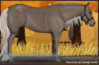 Horse Color:Silver Black 
