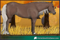 Horse Color:Silver Black 