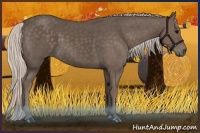 Horse Color:Silver Black 