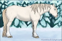 Horse Color:Perlino Roan Dun 