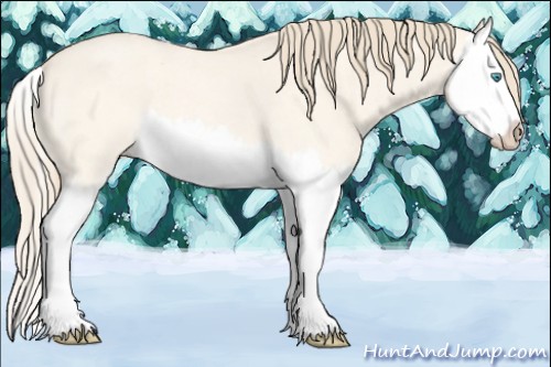 Horse Color:Perlino Roan Dun Splash 