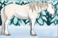 Horse Color:Perlino Roan Dun Splash 