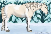Horse Color:Perlino Tobiano 