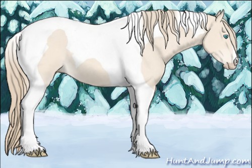 Horse Color:Perlino Roan Tobiano 