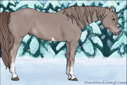 Horse Color:Platinum Chestnut Tobiano 