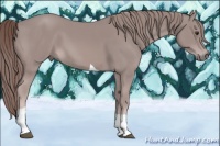 Horse Color:Platinum Chestnut Tobiano 