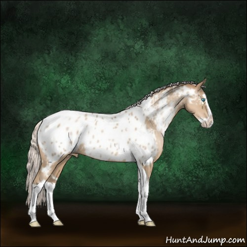 Horse Color:White Spotted Silver Smoky Black Pearl Splash Tobiano Near Leopard