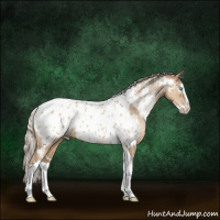 Horse Color:White Spotted Silver Smoky Black Pearl Splash Tobiano Near Leopard 