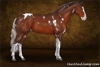 Horse Color:White Spotted Silver Bay Splash Tobiano 
