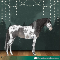Horse Color:Smoky Blue Roan Splash Tobiano