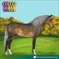 Horse Color:Silver Buckskin 