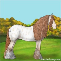Horse Color:Amber Champagne Pearl Blanket 