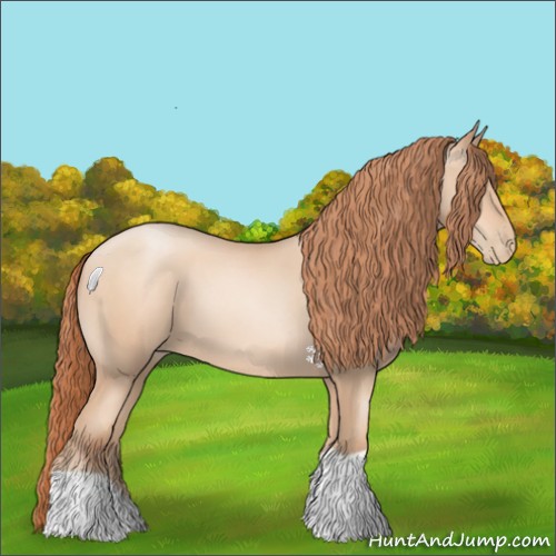 Horse Color:Sable Champagne Pearl 