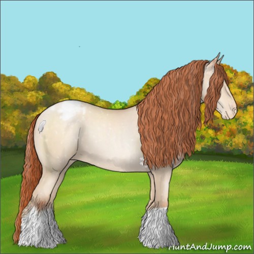 Horse Color:Sable Cream Champagne Pearl Appaloosa 