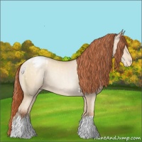 Horse Color:Sable Cream Champagne Pearl Appaloosa 
