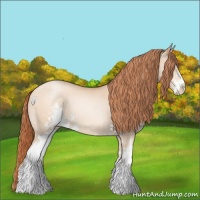 Horse Color:Sable Champagne Pearl Sabino 