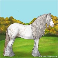 Horse Color:White Spotted Liver Chestnut Pearl Sabino Appaloosa 
