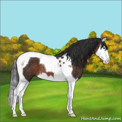 Horse Color:Brown Splash Tobiano