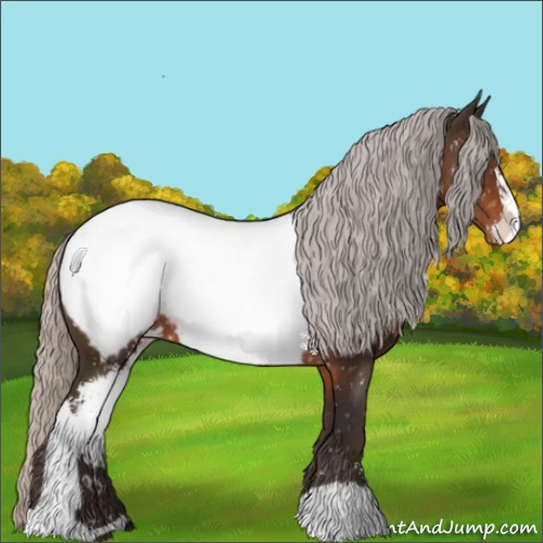Horse Color:Silver Brown Sabino Appaloosa 