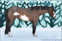 Horse Color:Brown Roan Frame 