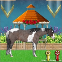 Horse Color:Brown Roan Splash Tobiano 