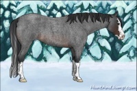 Horse Color:Brown Roan Splash 