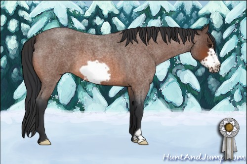 Horse Color:Brown Roan Frame 