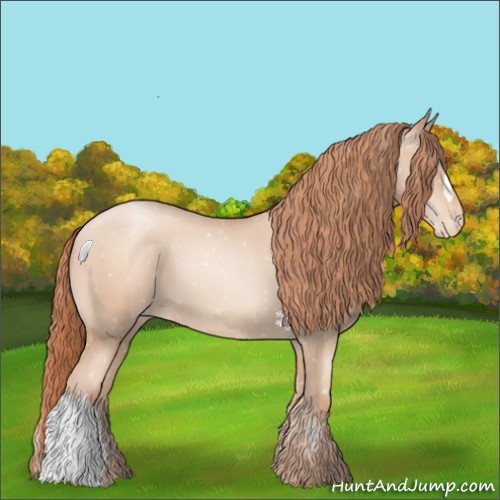 Horse Color:Sable Champagne Pearl Appaloosa 