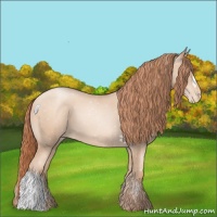 Horse Color:Sable Champagne Pearl Appaloosa 
