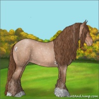 Horse Color:Brown Roan Pearl Appaloosa 
