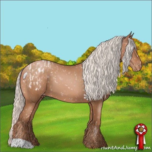 Horse Color:Silver Brown Pearl Blanket  and Silver Brown Pearl Snowflake Varnish