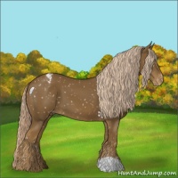 Horse Color:Chocolate Palomino Snowflake Varnish