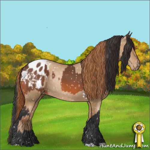 Horse Color:Buckskin Pearl Appaloosa  and Bay Appaloosa 
