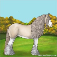 Horse Color:Chocolate Palomino Pearl Dun Splash 