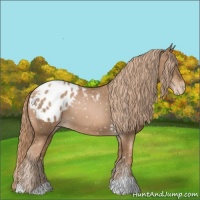 Horse Color:Liver Chestnut Pearl Blanket 
