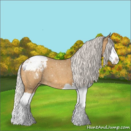 Horse Color:Silver Buckskin Roan Splash Appaloosa 