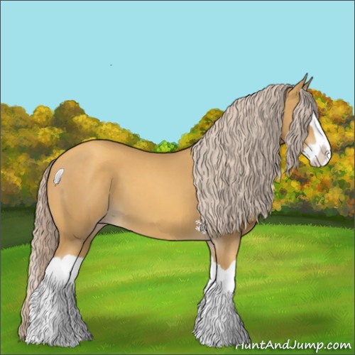 Horse Color:Gold Cream Champagne Splash 