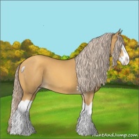 Horse Color:Gold Cream Champagne Splash 