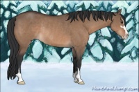 Horse Color:Brown Dun Sabino Rabicano 