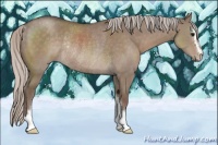 Horse Color:Silver Grullo Sabino Rabicano 