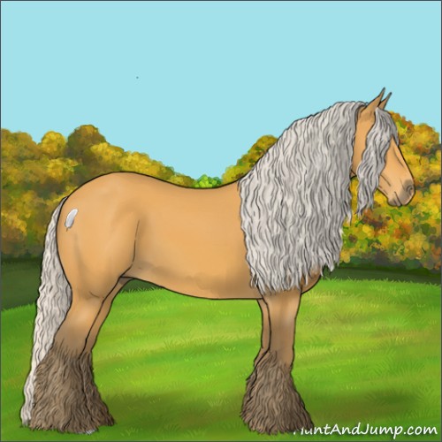 Horse Color:Silver Buckskin 